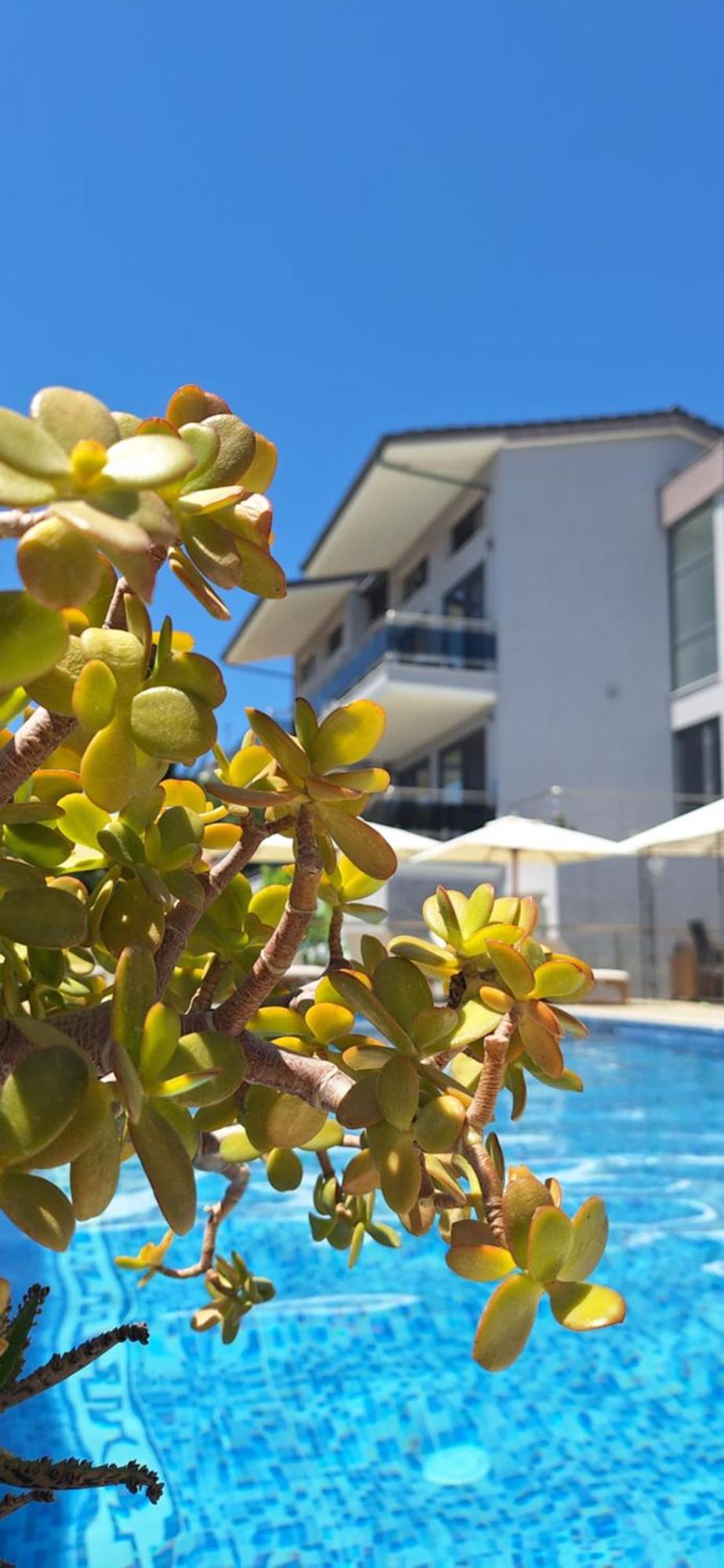 Sarti Thea Hotel Ngoại thất bức ảnh